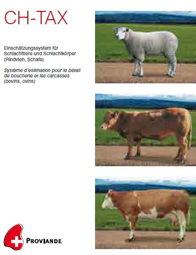CH-Tax-Broschüre